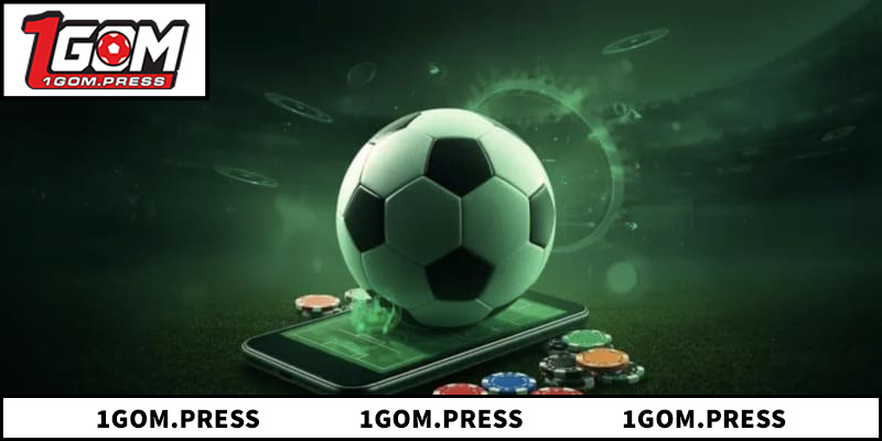 Cung cấp tỷ số trực tuyến các môn thể thao hấp dẫn khác