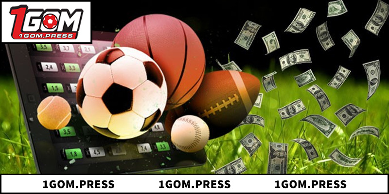 Lý do nên chọn 1GOM để theo dõi tin tức thể thao